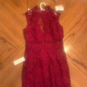 Beautiful Bardot Lace Dress. Never worn, sleeveless with lace collar.